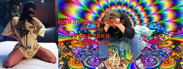 тгк Аркадак