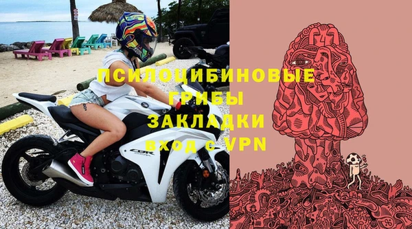 тгк Аркадак