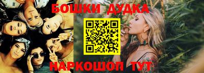 прущие крисы Кингисепп