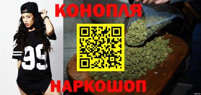 прущие крисы Кингисепп