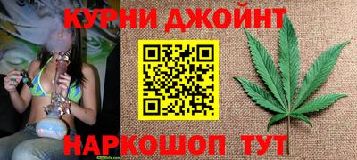 прущие крисы Кингисепп