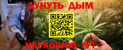 прущие крисы Кингисепп