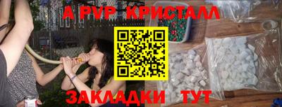 прущие крисы Кингисепп