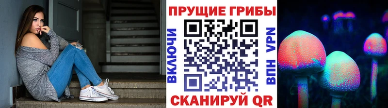 даркнет сайт  Унеча  Псилоцибиновые грибы Magic Shrooms 