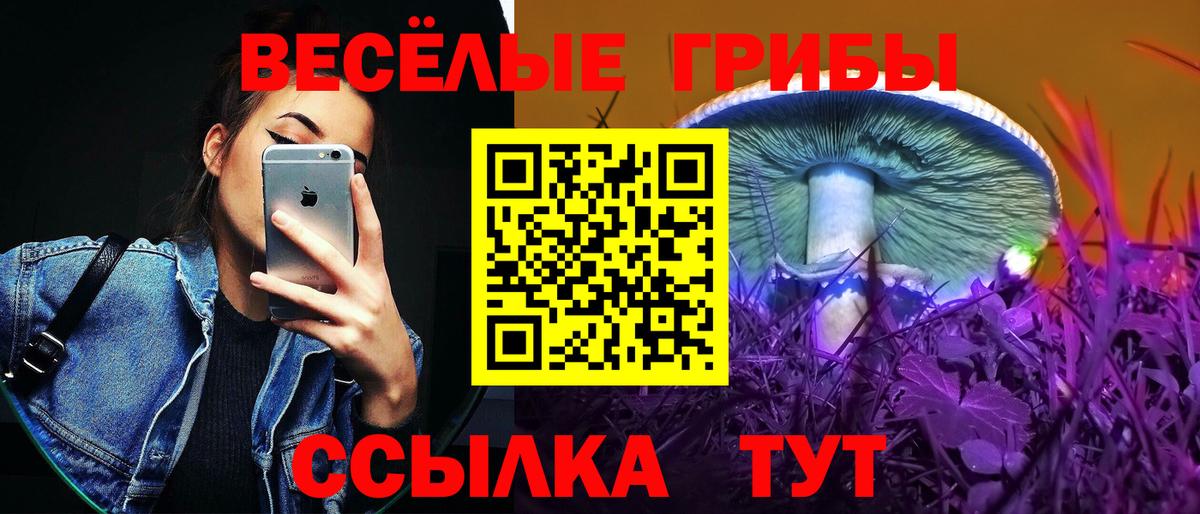 Псилоцибиновые грибы мухоморы Унеча