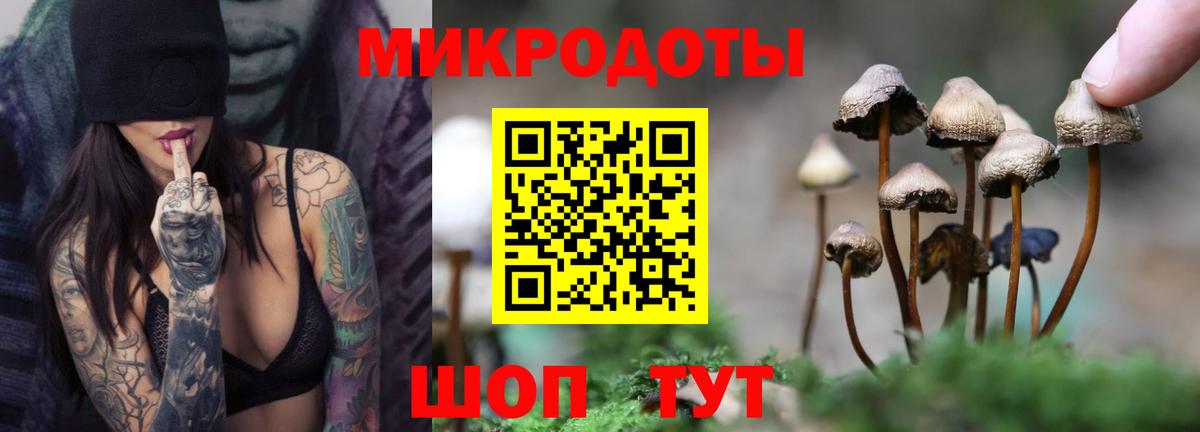 Псилоцибиновые грибы ЛСД  Вход с VPN  Псилоцибиновые грибы Magic Shrooms  Унеча 