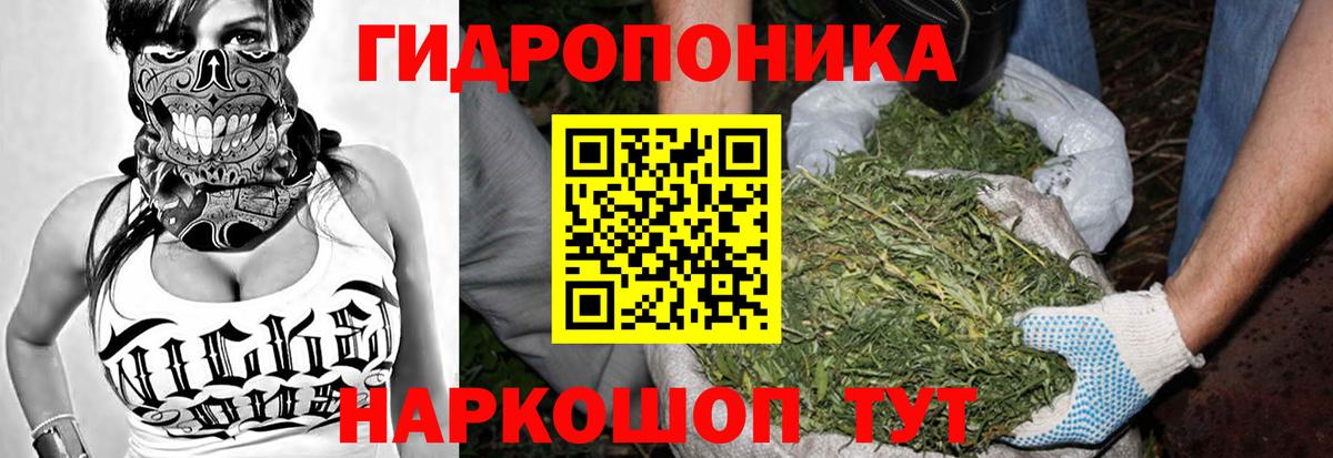 Канабис MAZAR  Шишки марихуана AK-47  Вход с VPN  Унеча  Каннабис конопля 